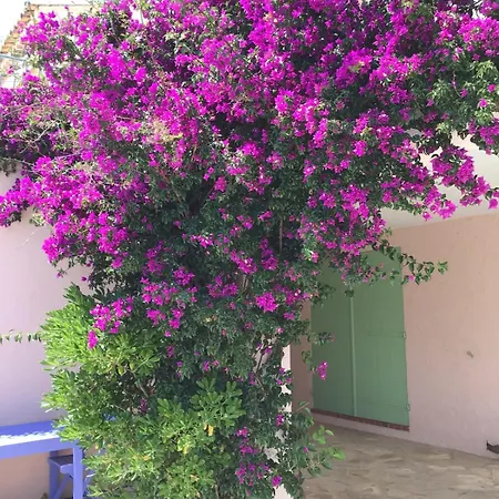 La Rosa Vue Exceptionnelle Avec Piscine Terrain De Petanque * Saint Aygulf